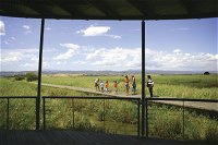 Tamar Island Wetlands Centre and Reserve - Attractions
