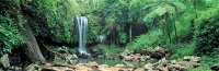 Tamborine National Park - Attractions