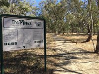 The Pines Conservation Reserve - Redcliffe Tourism
