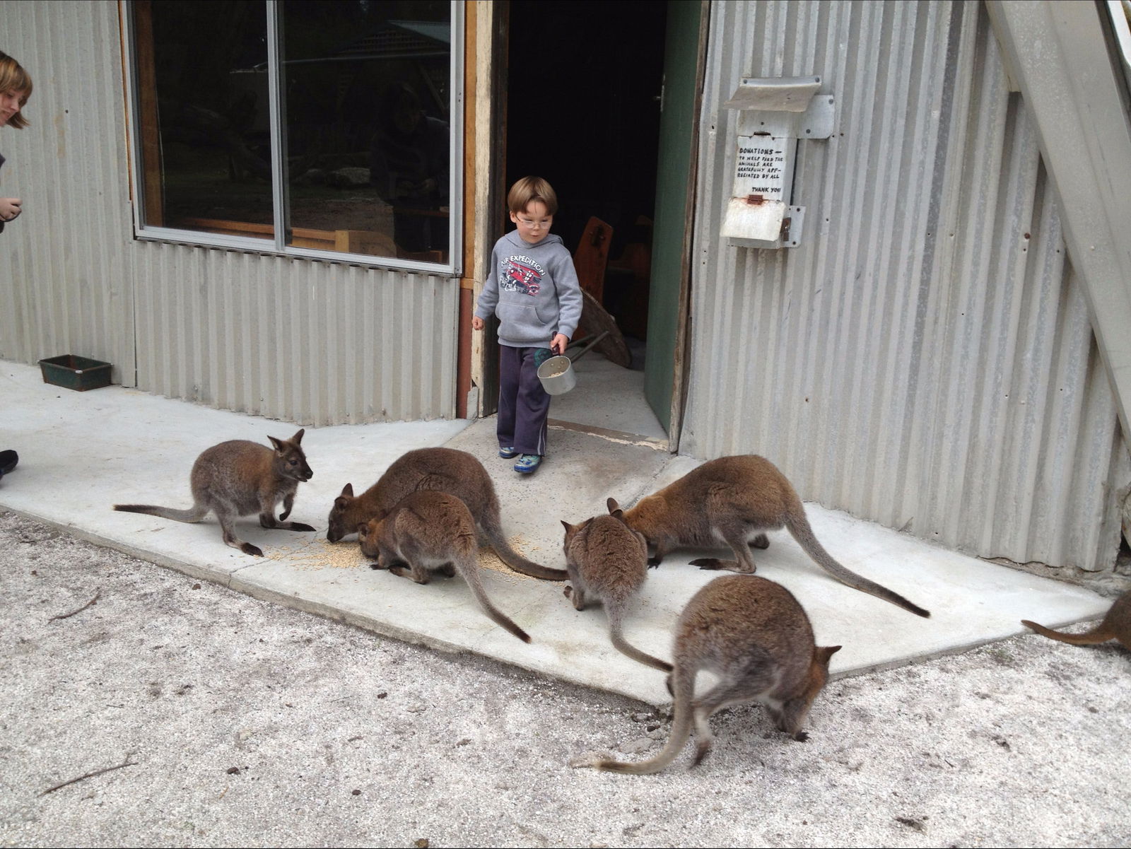 Bass Strait Islands TAS Whitsundays Accommodation