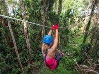 TreeTop Challenge - Sunshine Coast - Accommodation Redcliffe
