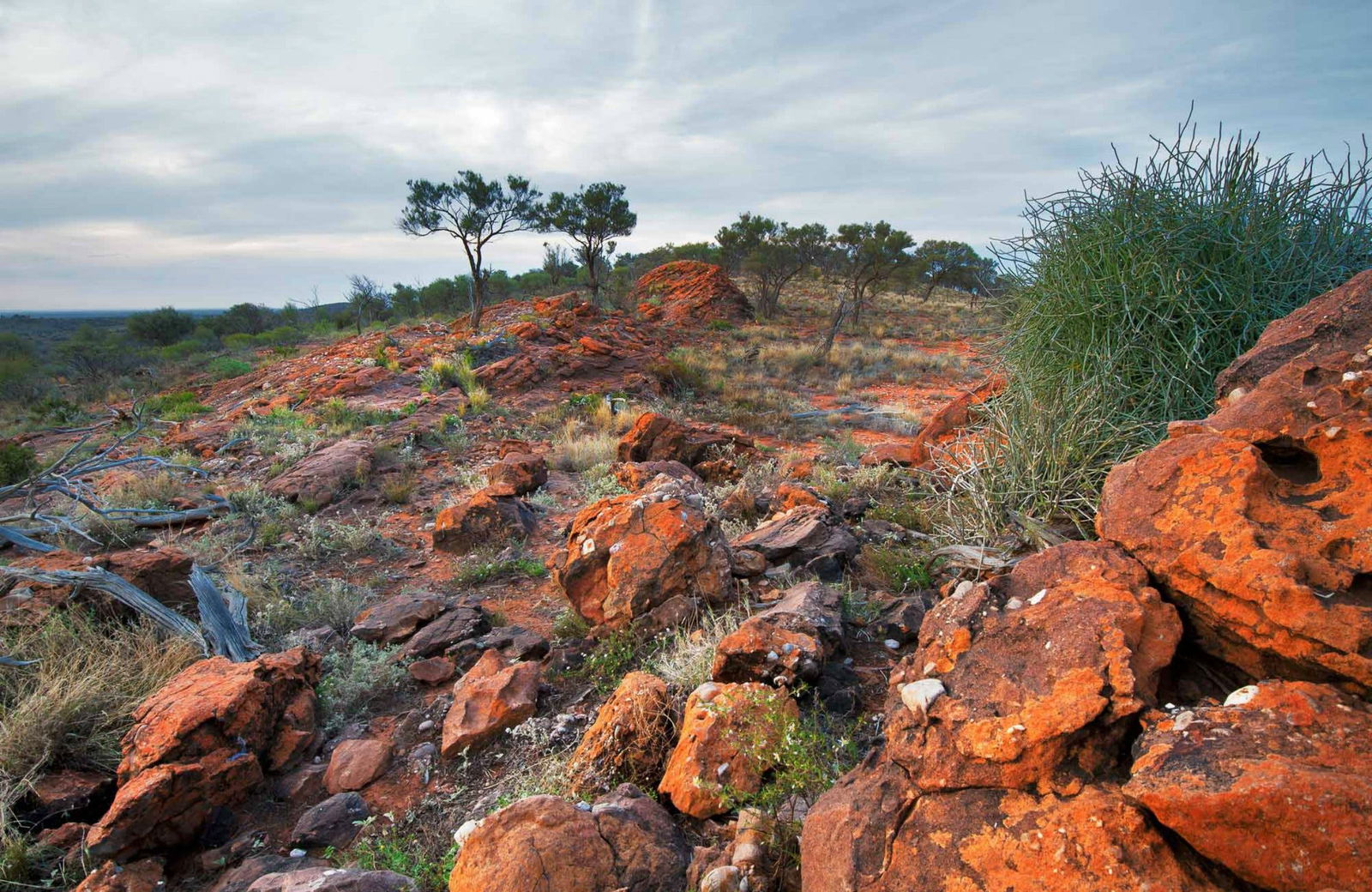 Mutawintji NSW Accommodation Cairns