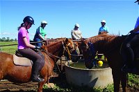 Western Plains Riding Centre - Open - Accommodation Daintree