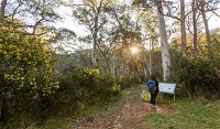 Yarrangobilly Caves  River walk - Accommodation Tasmania