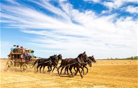 7 Day Outback Giants - Tourism Canberra