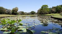 Anderson Park Botanic Gardens - Accommodation Perth