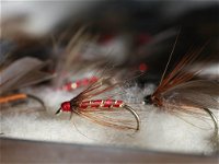 Australian Fly Fishing Museum - Attractions Perth