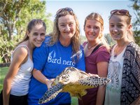 Australian Seabird Rescue - Tourism TAS