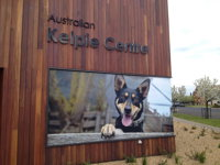 Australian Kelpie Centre - QLD Tourism