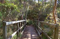 Awaba Bay Foreshore Walk - Find Attractions