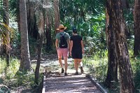 Banksia Track Burrum Coast National Park - Find Attractions