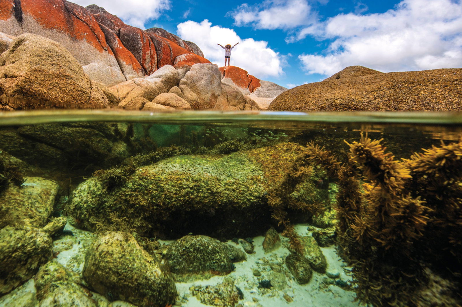 Binalong Bay TAS Tourism Adelaide