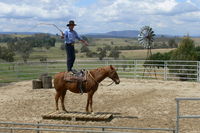 Boggy Creek Show - Accommodation Bookings