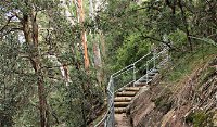 Caleys Lookout Track - Accommodation Gold Coast