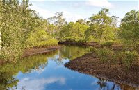 Canoe Evans River Paddle Route - Accommodation Cooktown