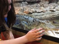 Canberra Reptile Zoo - Accommodation Newcastle
