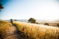 Canberra Centenary Trail - Accommodation QLD