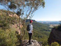 Centennial Glen - Lennox Head Accommodation