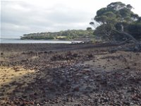 Churchill Island Marine National Park - Accommodation Tasmania