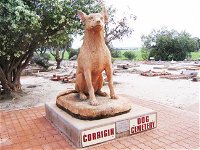 Corrigin Dog Cemetery - Accommodation Gladstone
