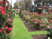 Cowra Rose Garden - Accommodation Kalgoorlie