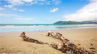 Cow Bay - Accommodation Cooktown