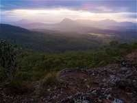 Cunninghams Gap and Spicers Gap Main Range National Park - Accommodation Newcastle