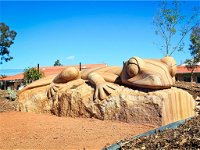 Dubbo Regional Botanic Garden - Closed Until Further Notice - Attractions Brisbane
