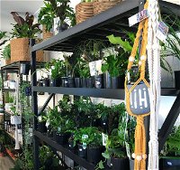 Fancy Plants - Accommodation in Brisbane