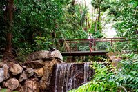George Brown Darwin Botanic Gardens - Accommodation Mt Buller