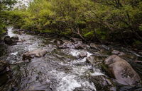 Gloucester River walking track - Accommodation Sunshine Coast