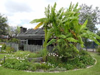 Gold Coast Historical Museum Inc - Accommodation Sunshine Coast