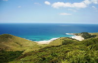 Governor Game Lookout - Sydney Tourism