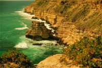 Island Rock and Natural Bridge - Gold Coast Attractions