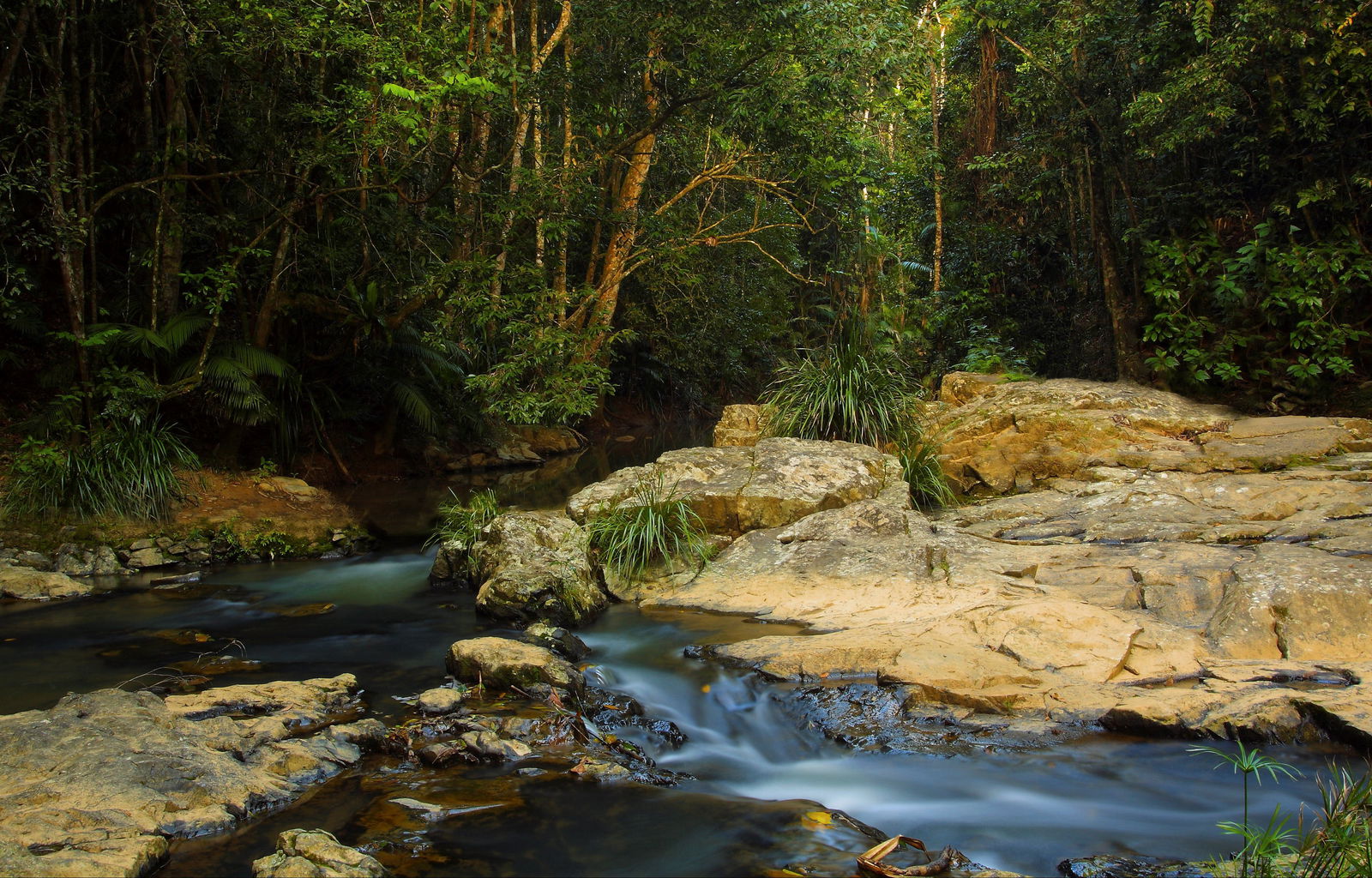 Walter Lever Estate QLD Mackay Tourism