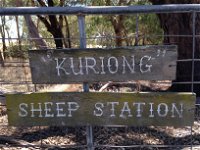 Kuriong Sheep Station - South Australia Travel