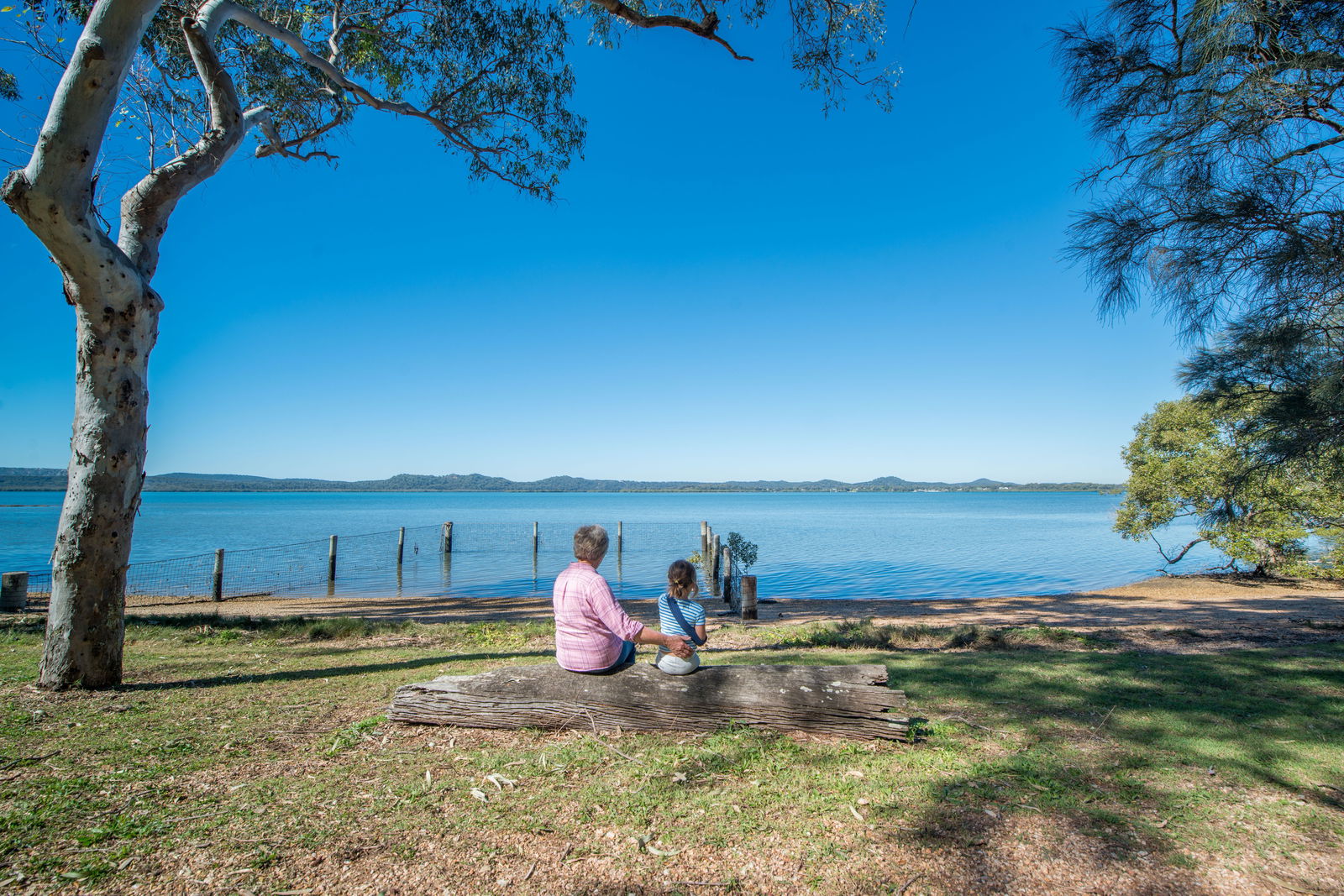 Lamb Island QLD SA Accommodation