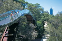 Law Walk - Kings Park - QLD Tourism