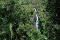 Mapleton Falls National Park - Attractions