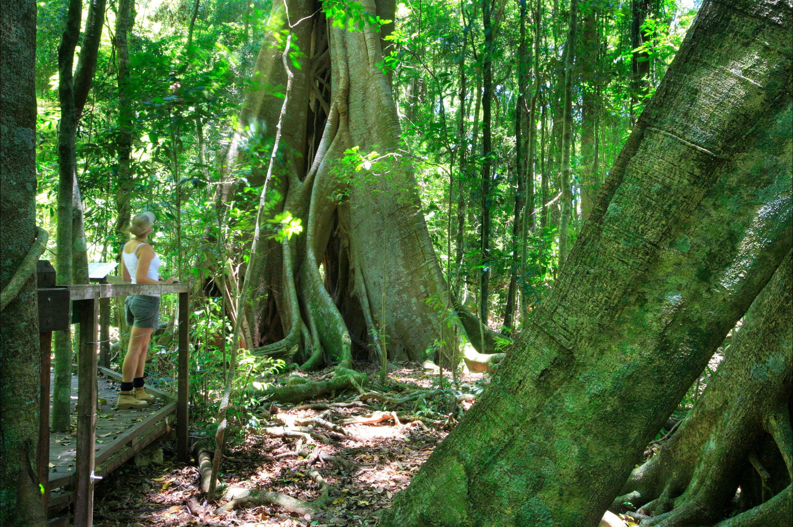 Harper Creek QLD Accommodation Perth