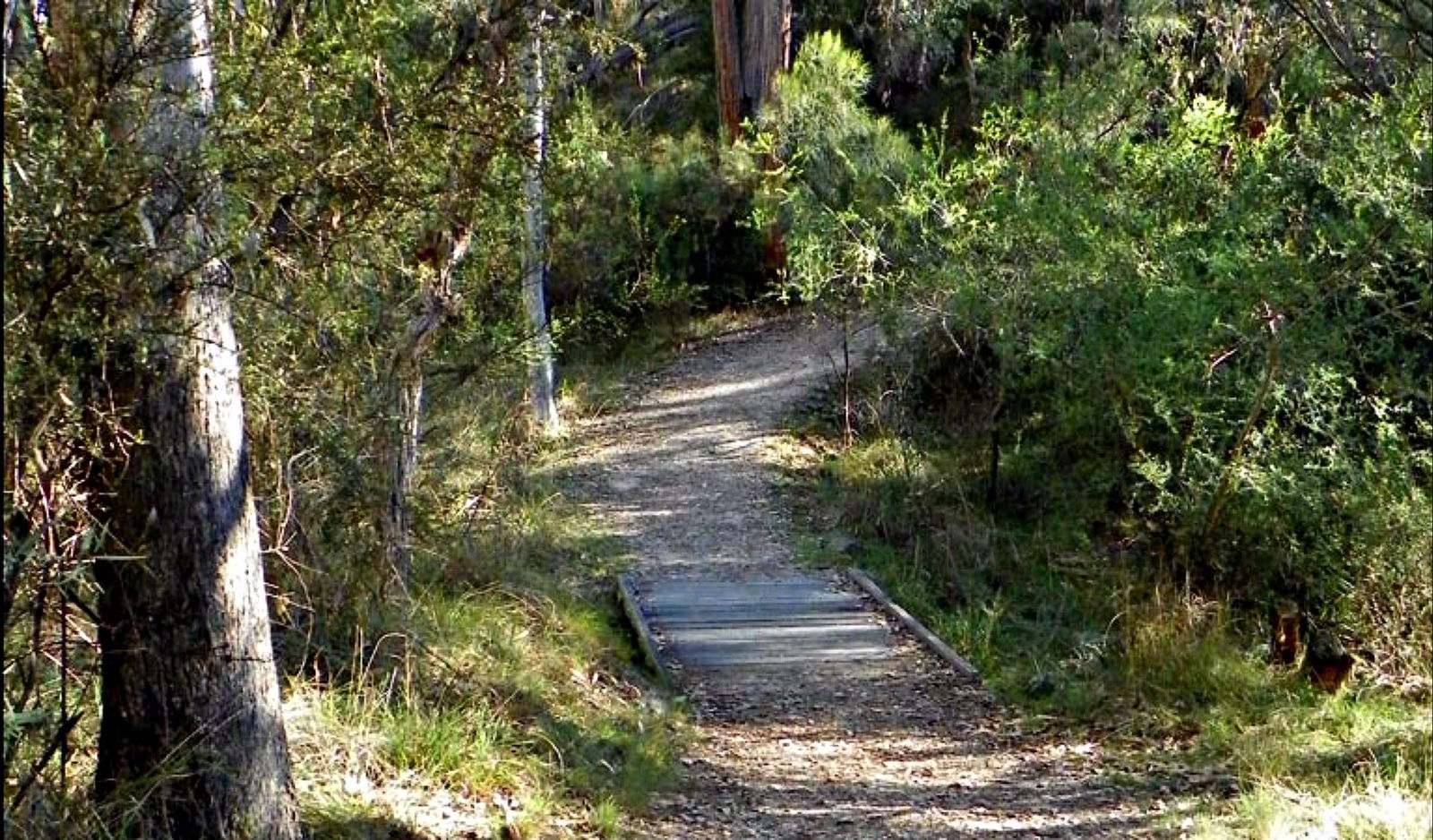 Dangarsleigh NSW Accommodation Mount Tamborine