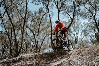 Mountain Bike Trails Deniliquin - Accommodation Bookings