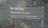 Mount Murga Walking Track - Lennox Head Accommodation