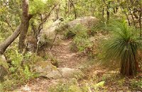 Mount Carnarvon Walking Track - Yamba Accommodation