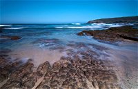 Munmorah State Conservation Area - Find Attractions