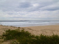 Narooma Surf Beach - Attractions