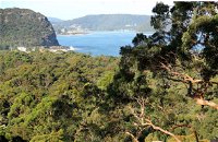 Patonga to Pearl Beach Walking Track - Attractions Melbourne