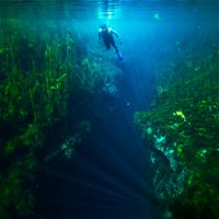 Piccaninnie Ponds Conservation Park - Attractions Perth