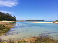 Snorkelling Candlagan Creek - Accommodation Tasmania