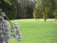 Springwood Country Club - Accommodation Bookings